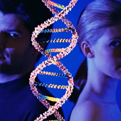 Теперь понятно, почему они изменяют: ученые нашли гены неверности